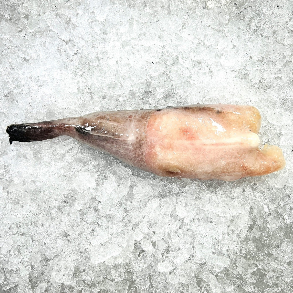 Monkfish Tail (kg) – Mesklenn